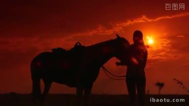 骑马剪影的女孩与马站在田野在日落